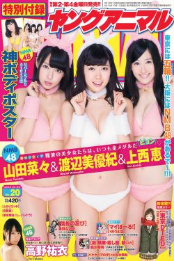 君临天下之九王夺位